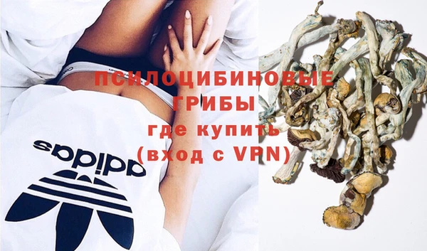 МДПВ Ладушкин