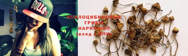 МДПВ Ладушкин