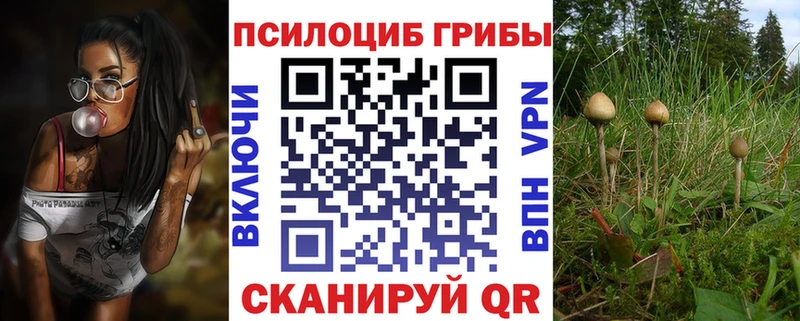 Псилоцибиновые грибы MAGIC MUSHROOMS  Купить  Шумерля 